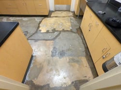 Complete Floor Care Solutions_Hernandez_VariGLAZE_Government 1.1_BEFORE-1