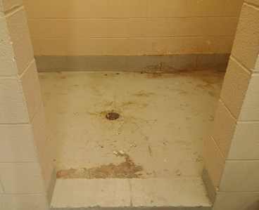 Shower 1 Before